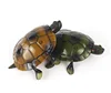 [Funny] Trick electronic pet RC simulation sound & light Tortoise robot model prank toy remote control smart animal kids gift 3