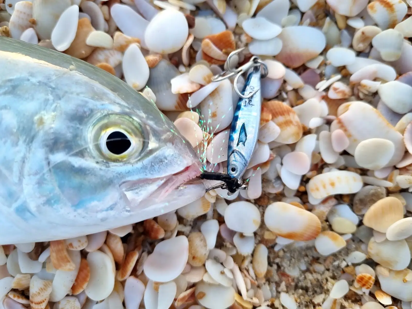 WEIHAI FSTK Metallköder Meeresangelköder Jig Shore 10g15g20g30g Off Shore Jig Löffel Langsam Jig Casting Jig Löffel Künstlicher Köder – Detail 4