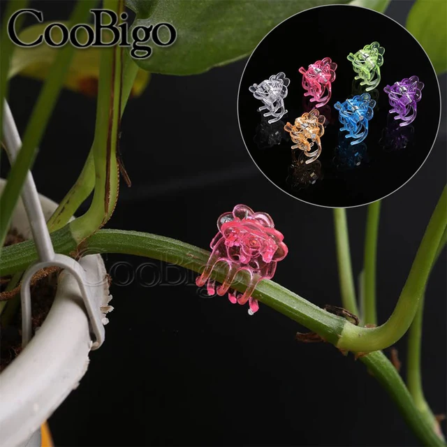 60 db Orchidea Klipek Növényi Tartó Klip Szőlő Szár Javítás Bilincs Üvegházhatású Zöldségvirágok Gyümölcskert Műanyag Színes - Image 6