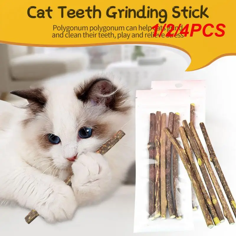 1/2/4PCS Natural Catnip Pet Cat Molar Toothpaste Stick Pet Cat Kitten Chew Toys Stick Fruit Matatabi Cat Snacks Sticks Pet