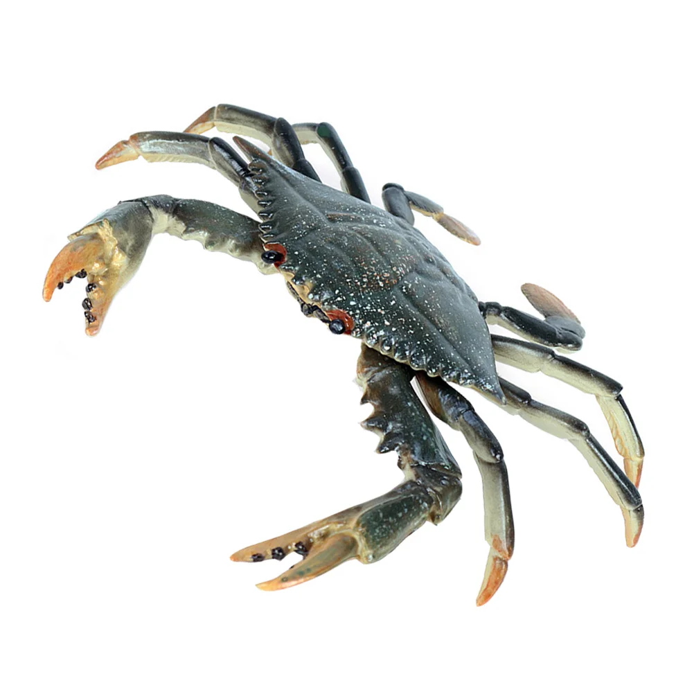 

Artificial Crabs Decoration Lifelike Crab Decor Fish Tank Simulation Marine Crabs Animal Model Crab Figure Home Decor