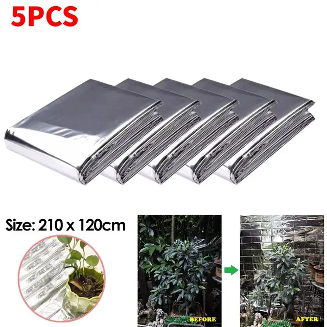 5Pcs