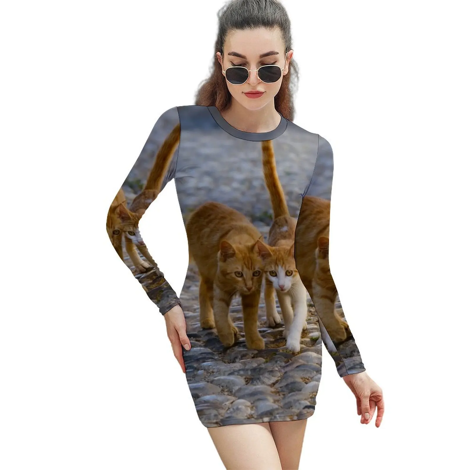

Companioned Kittens Walk the Same Path Long-Sleeved Sheath Dress Dresses gala dresses for women 2024 women clothes