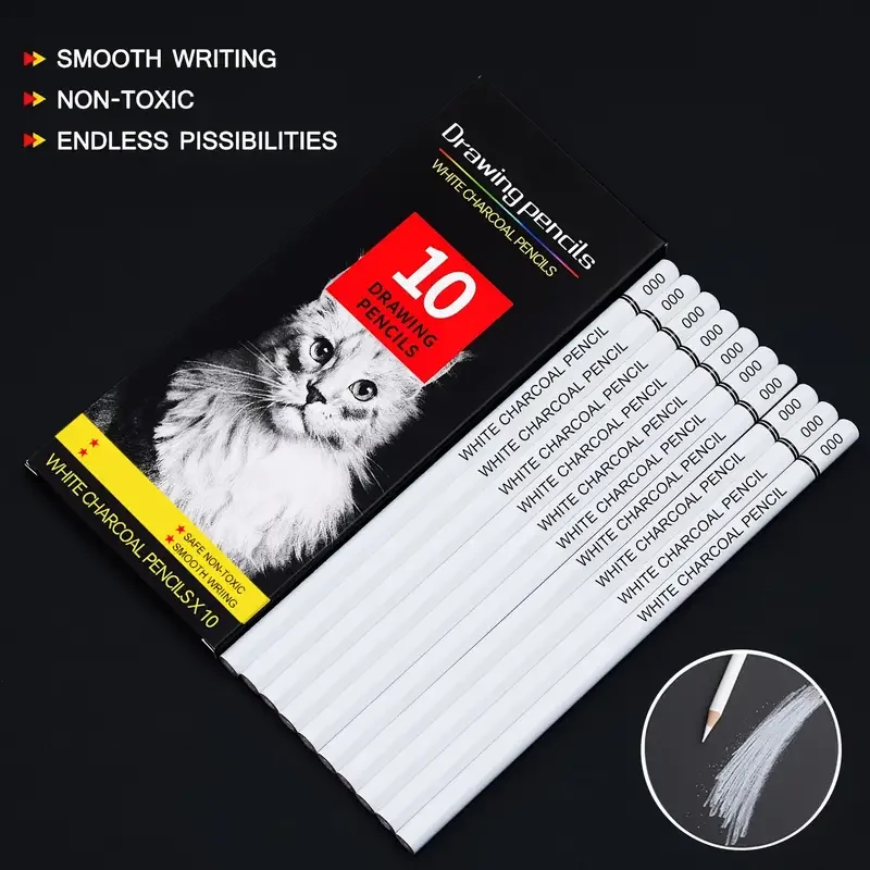 White Charcoal Pencils for Drawing, Professional 10 Pieces White Colored Pencils for Sketching, Shading, Blending, White 2