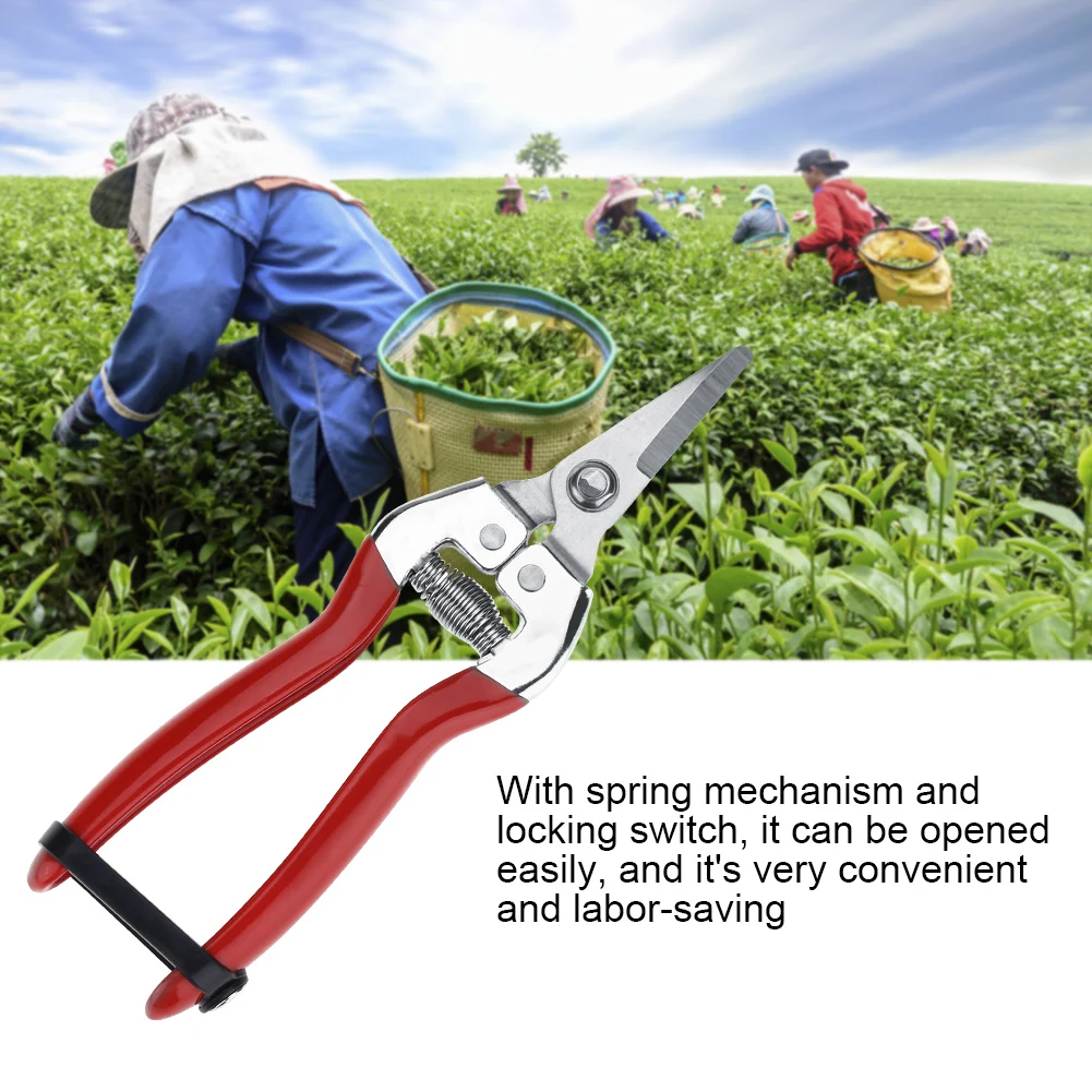 Fruit Tree Bonsai Gardening Pruning Shear Garden Scissors Pruner Tool Fruit Scissor Garden Scissor Tree garden scissors,pruning shears,garden tools,garden pruner