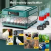 EU/UK Egg Incubator with Automatic Egg Turning and Humidity Monitoring Mini Duck Incubator With Automatic Water Ionic Waterbed 2