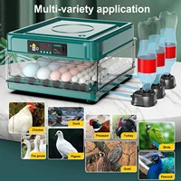 EU/UK Egg Incubator with Automatic Egg Turning and Humidity Monitoring Mini Duck Incubator With Automatic Water Ionic Waterbed 2