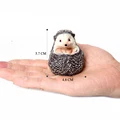 Four-Toed Hedgehog A