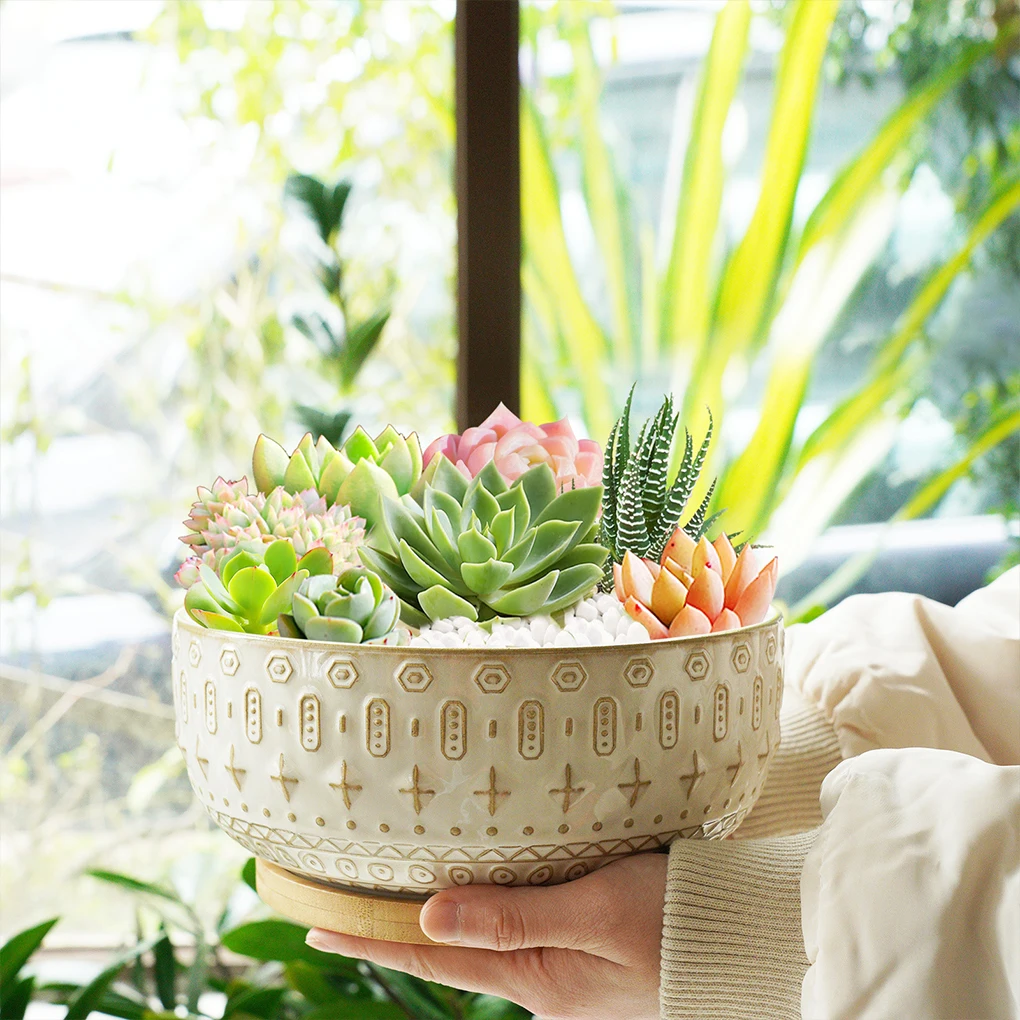 

Ceramic Succulent Pots Flower Pot Tray Round Relief Patterns Case