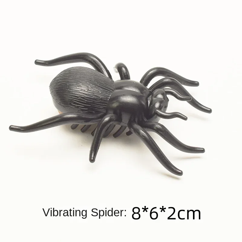 spider