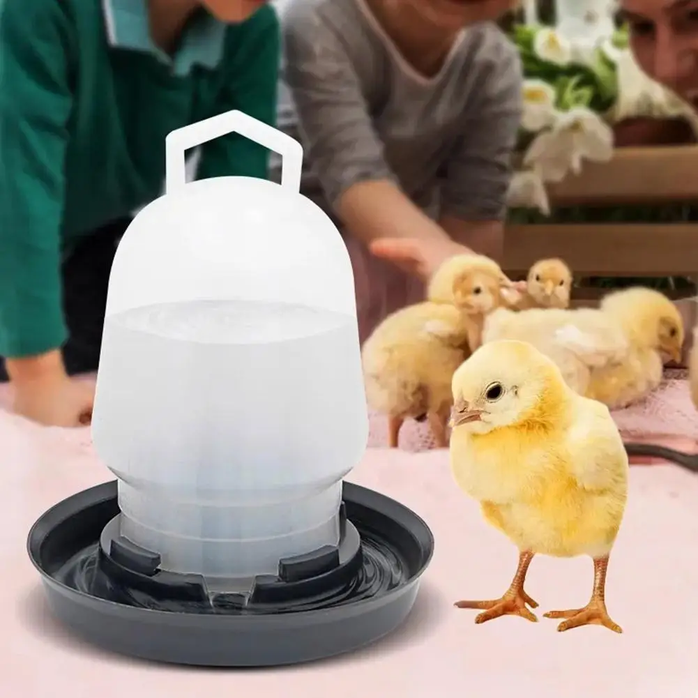 Plastic Automatic Chicken Water Drinker Feeder
