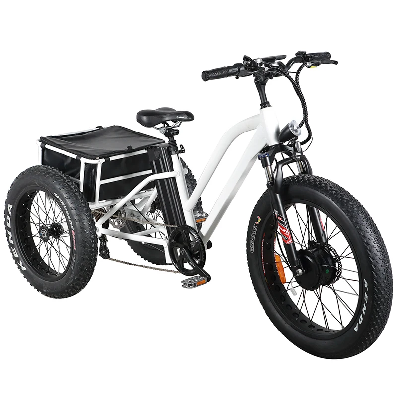 New Design Pedal Assist Fat Tyre Cargo Electric Tricycle custom