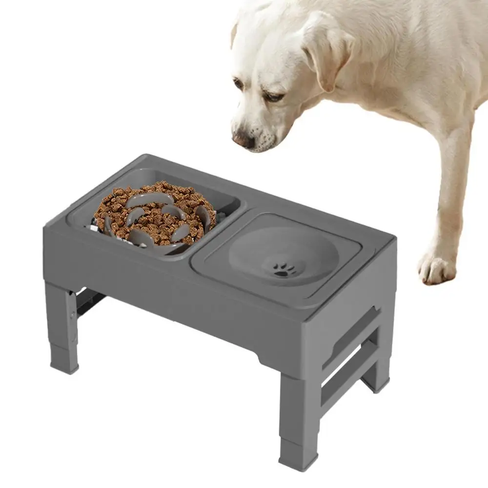 Should My Dogs Food Bowl Be Elevated