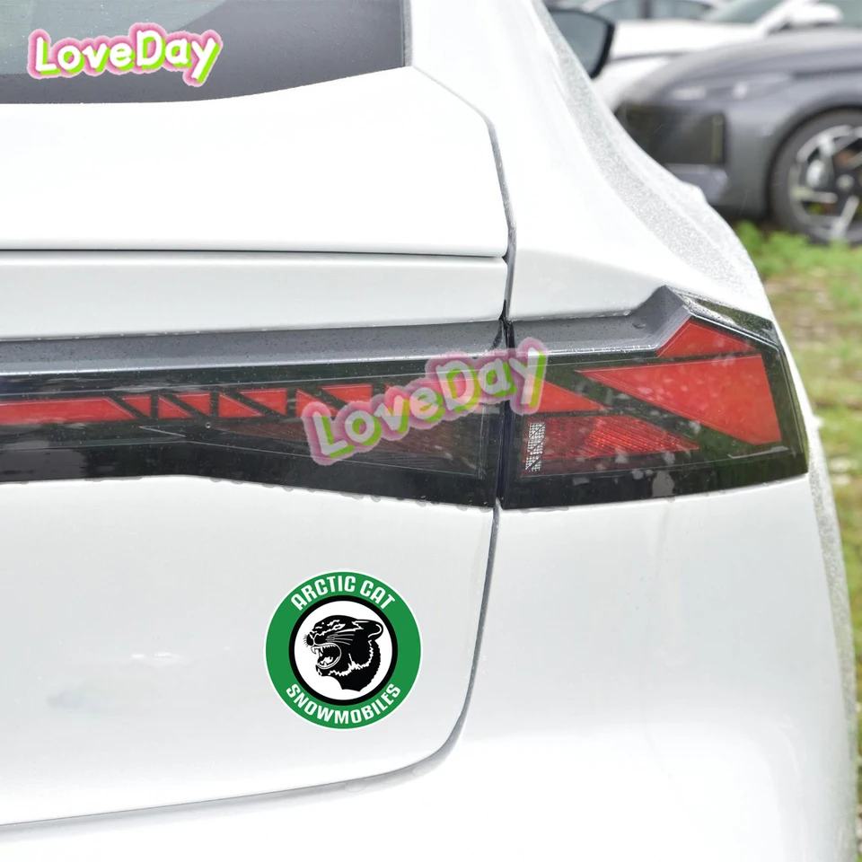 Arctc Cat Vnyl Decal(s) - Etsy - View #2