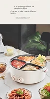220V 4 Flavor Electric Hot Pot 6L Household Multifunctional Food Cooking Machine Hotpot Multi Cooker 2