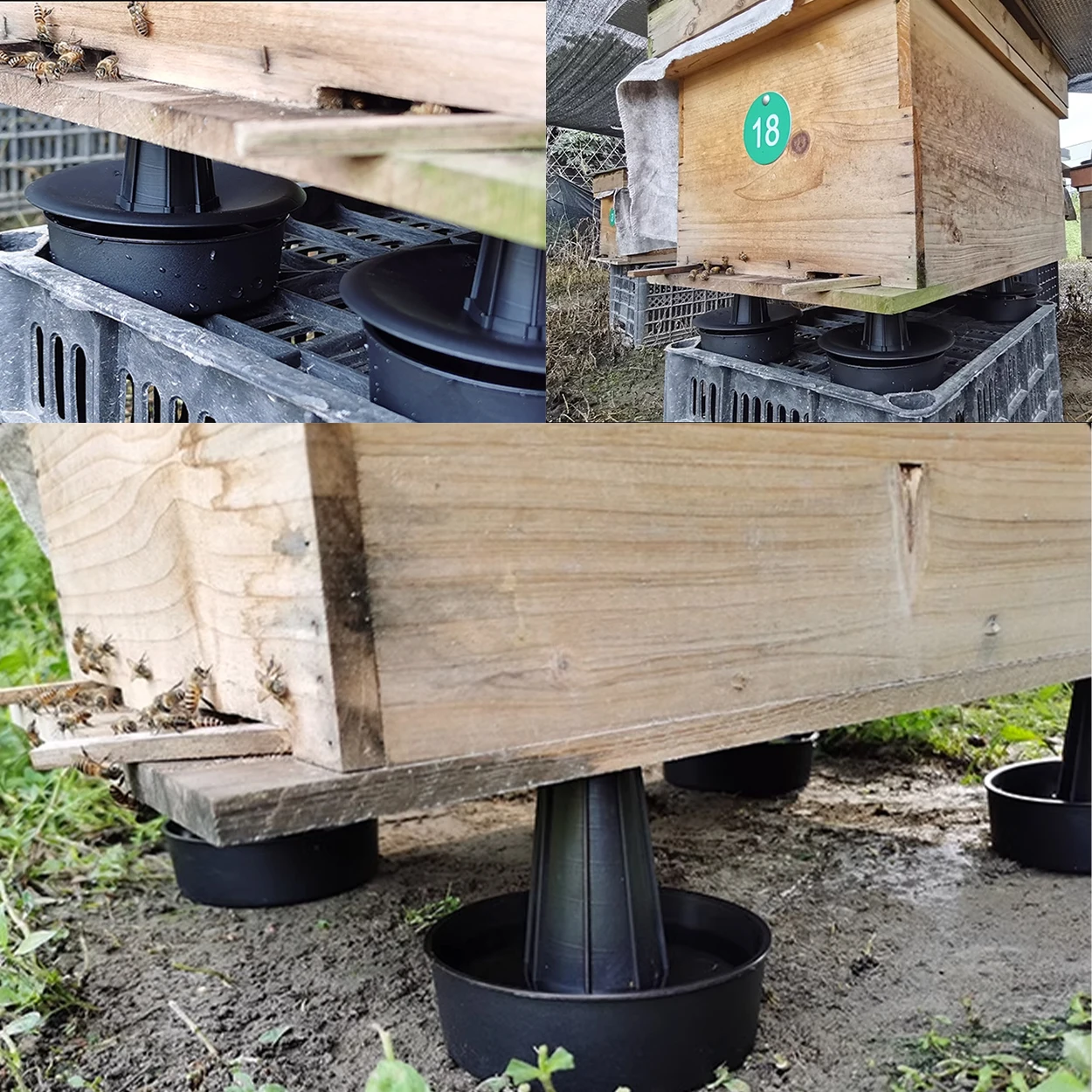 Beekeeping Tools Beekeeping Accessories 4 Sets Bee Hive Anti-ant Bracket Sink Base Tripod Heightened Waterproof Insect-proof Hive Feet Beehive Stand Beekeeping Tools