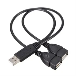 Dual Female USB 2.0 Extension Splitter Cable with Power Adapter - 30cm (Black)