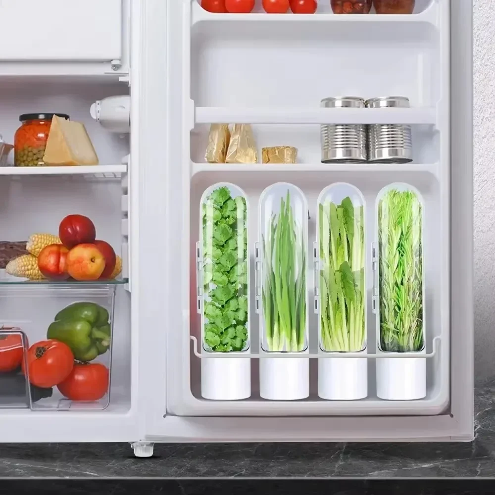 Herb Saver Premium Herb Storage Keeps Greens Vegetables Fresh Premium Keeper Clear Spice Fridge Preserver Storage,kitchen storage box,fruit storage box