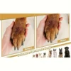 [Nail Care] Stress-Free Pet Nail Care | Dog Nail File | Scratch Square for Dogs | Durable PP Material 4
