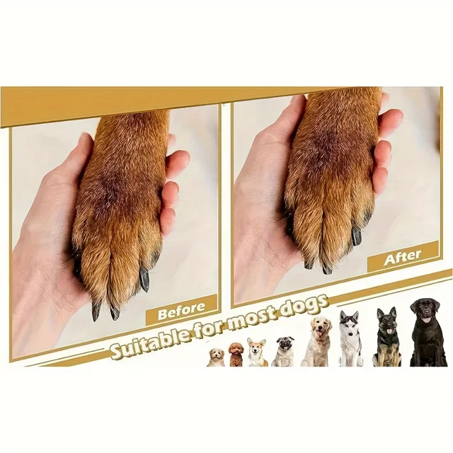 [Nail Care] Stress-Free Pet Nail Care | Dog Nail File | Scratch Square for Dogs | Durable PP Material 4