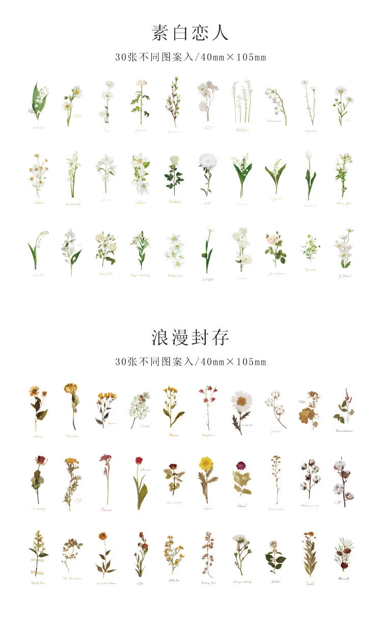 S23ac0bcd24484d4ea09c1cf6b814bc1aI