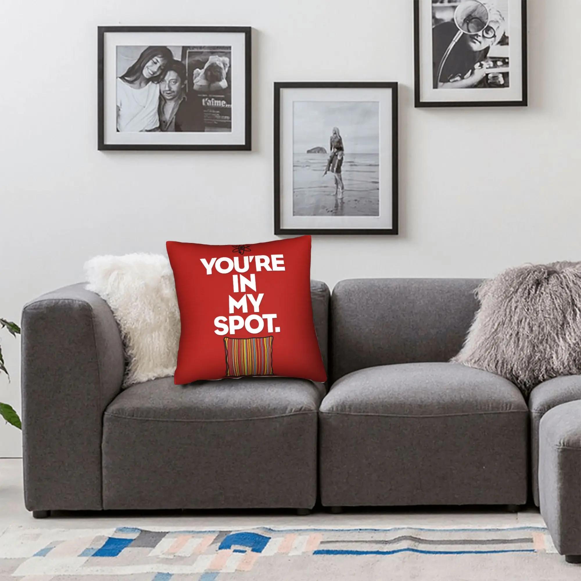 Funny TV Show-Inspired Pillowcase - Soft and Kawaii Decor for Couch, Sofa, or Bedroom