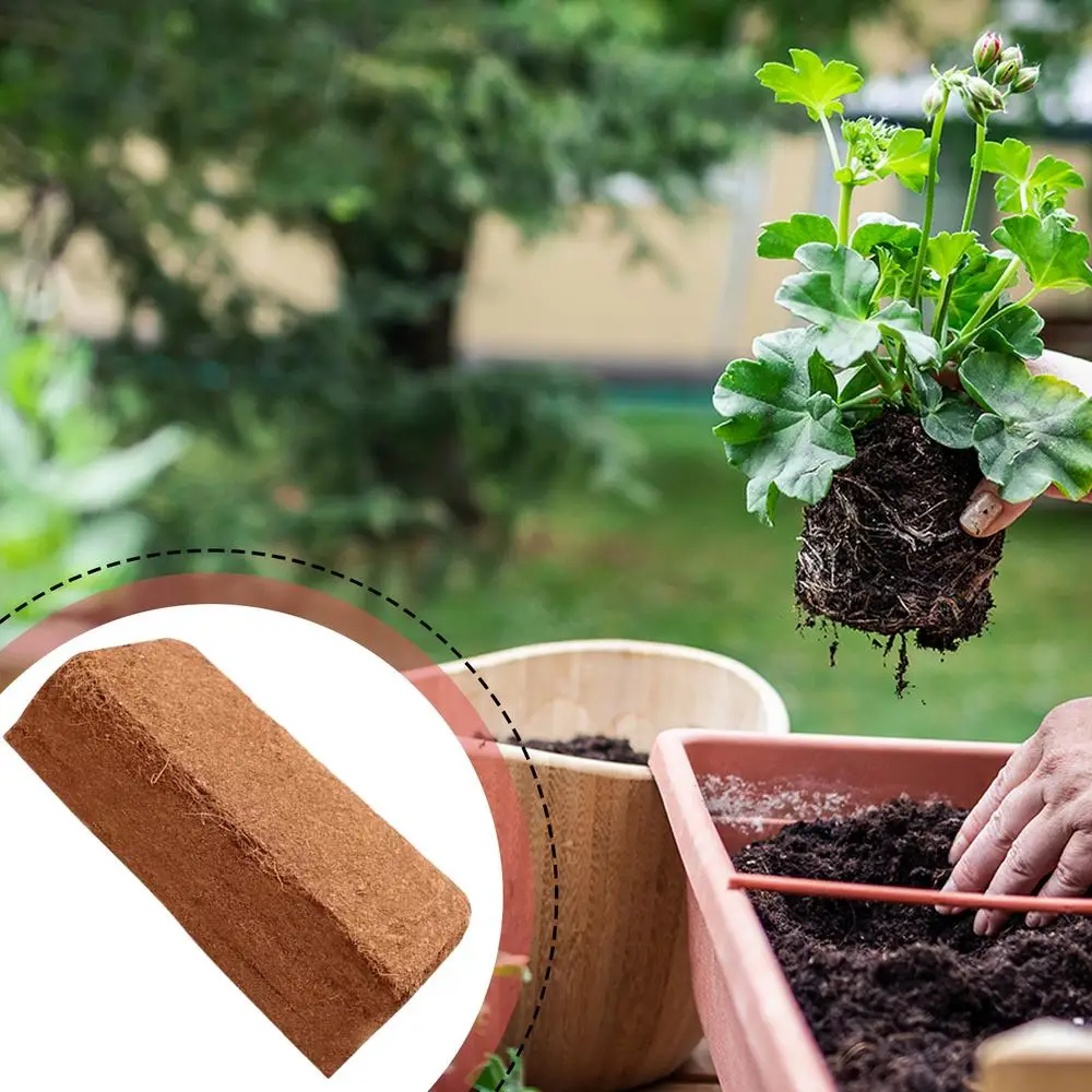 Organic Compressed Coconut Coir Brick