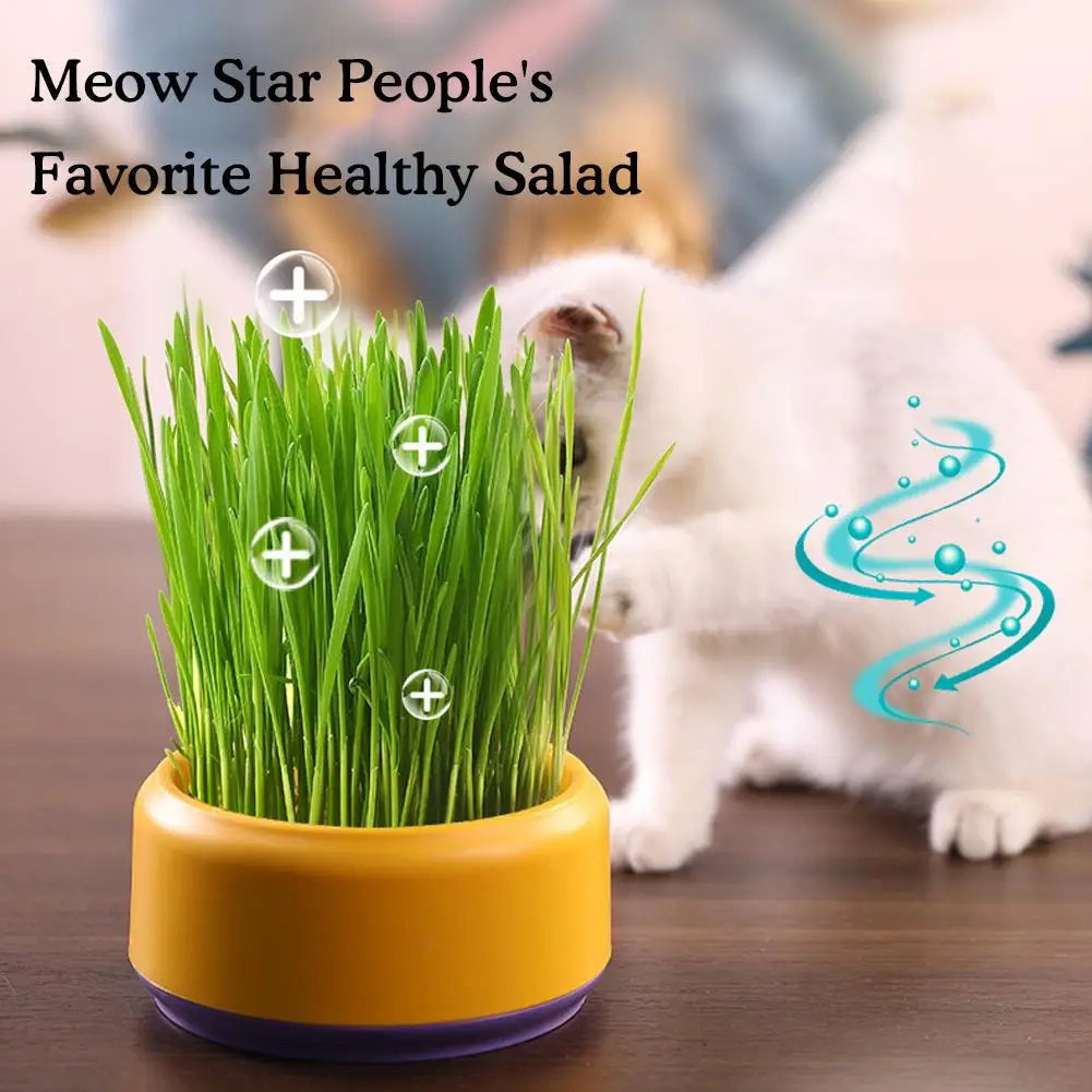 

New Pet Cat Sprout Dish Growing Pot Tray Starter Dish Pot Plant Grow Hydroponics Box Germination Grass Nursery Greenhouse C G3C3