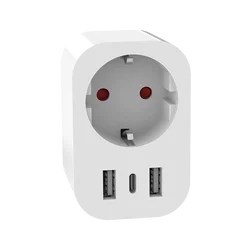 Smart WiFi Socket with Voice Control and Energy Monitoring - 2U1C