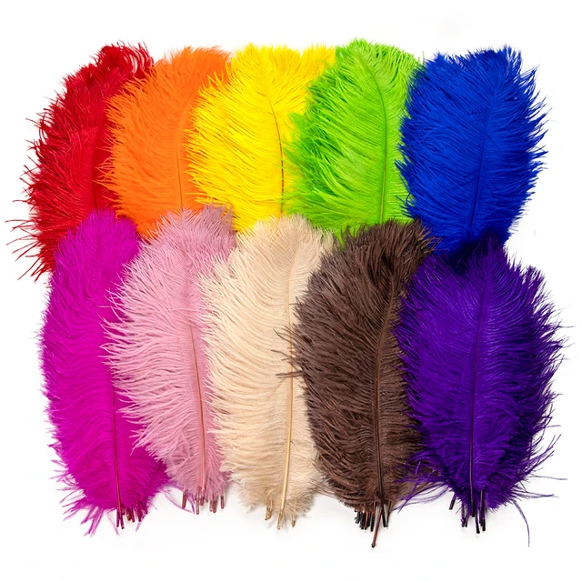 Big Pole Ostrich Feather Pink Feathers 10 Pcs 60-65 Cm/24-26 Inches Natural  Feather For Wedding Decorations - Feather - AliExpress