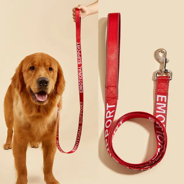 Golden Retriever How To Get My Dog To Be An Emotional Support Dog