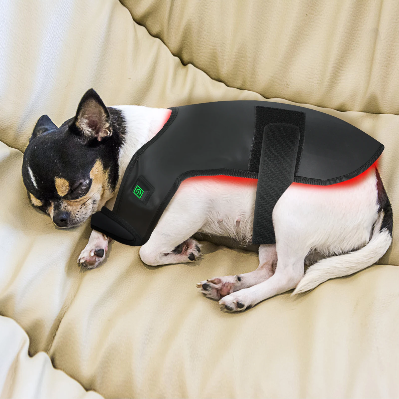 

Built in battery custom infrared light therapy belt red light therapy mat red light therapy for cat and dog