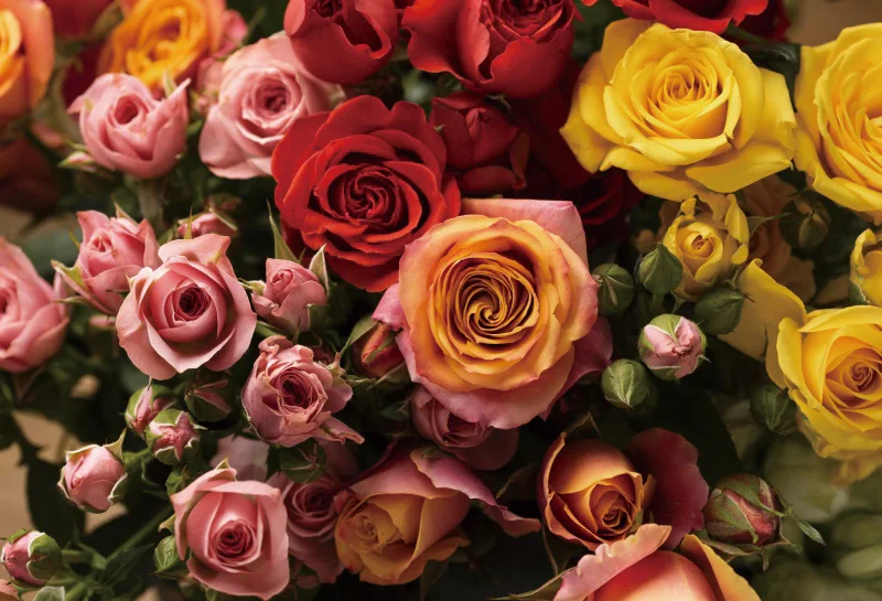 Laeacco Fotohintergrund – 3x2,4 M, Blühende Blumen Vintage, Für Hochzeit, Geburtstag, Party