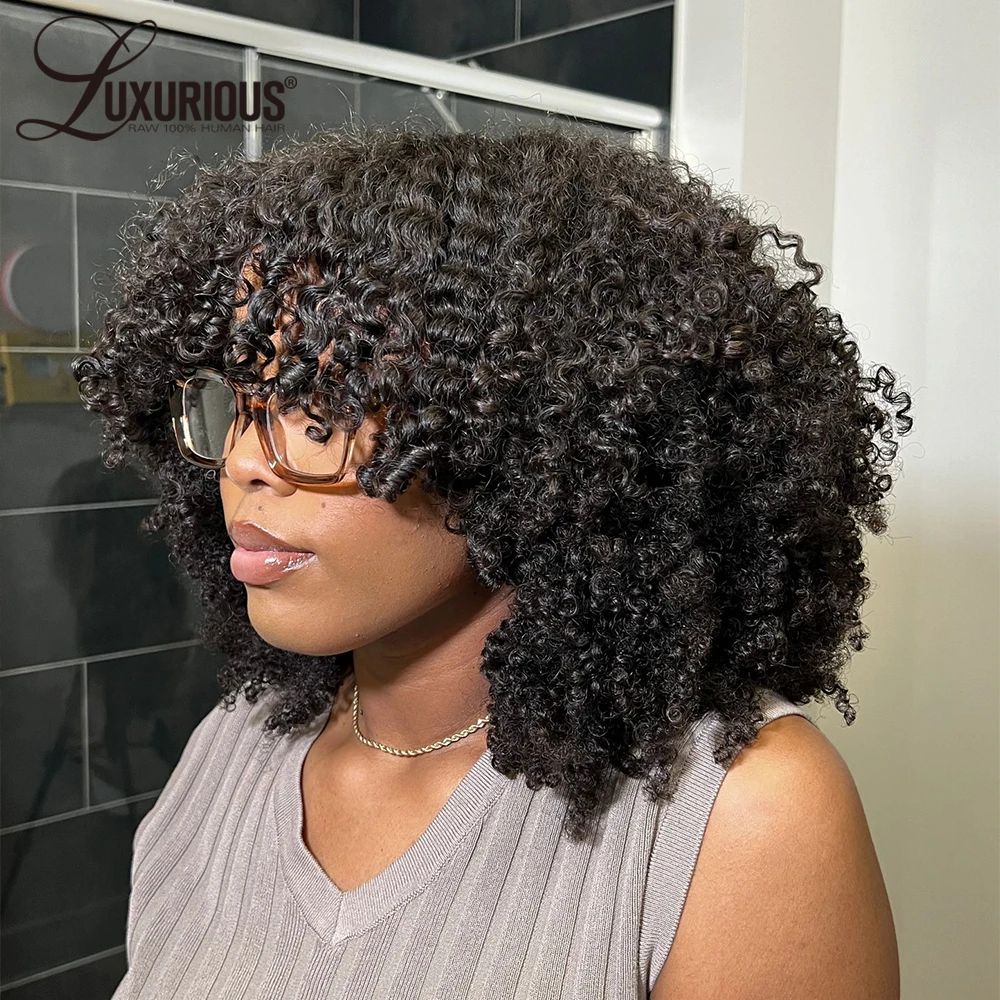 Bouncy Curly 4x4 Lace Closure Wig Human Hair 250% Density Blow-Out Afro Curly Lace Frontal Human Hair Wigs For Women Brazilian