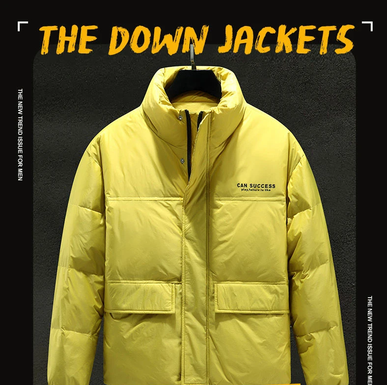 Men's Down Jacket Winter Thermal Duck Down Stand Collar Coat_voghion.com