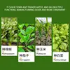 Bulb Planter Tool Metal Manual Plant Transplanter Labor-Saving Gardening Supplies Wear-Resistant Transplanter Tool For Planting 5