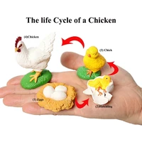 Simulation Small Insect Animals Growth Life Cycle Model Bee Spider Frog Butterfly Figurine Cute Kids Baby Early Educational Toys 1