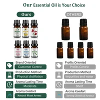 10Ml Essential Oil Fruit Flavor Natural Plant Making Diffuser Essential Oil Mango Pineapple Flavoring Oil for DIY Soap Candles 6