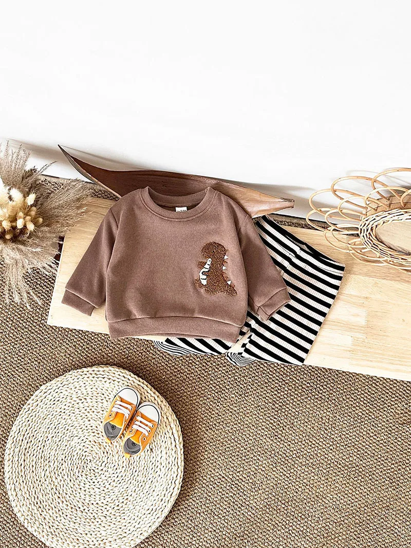 Autumn Baby Clothes Set Cotton Dinosaur Hoodie Trousers