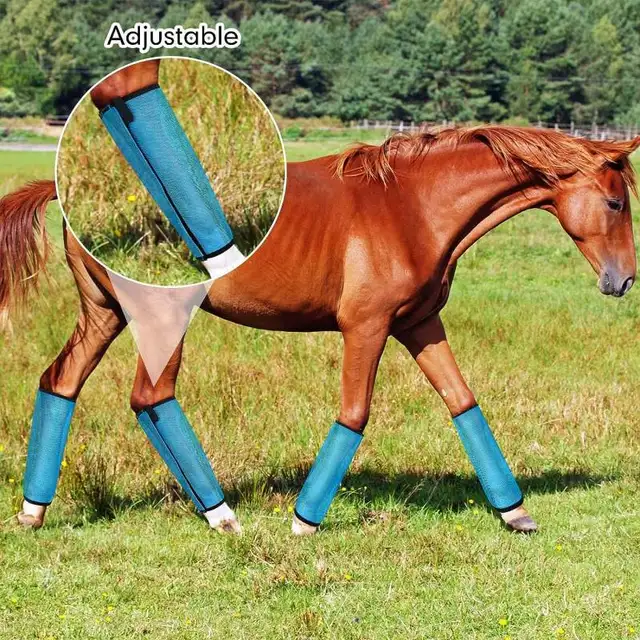 Horse Boots Horse Leg Fly Wraps Jexine 12 Fly Boots For Horse Set