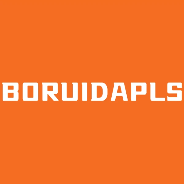 BORUIDAPLS Smart Home Store