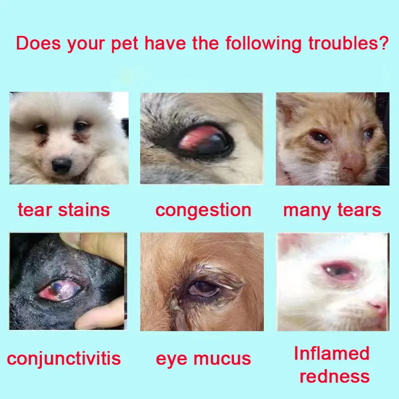 Dog cataract eye drops 20ml treat cat pet elderly dog early keratitis to tear stains pet eye drop water