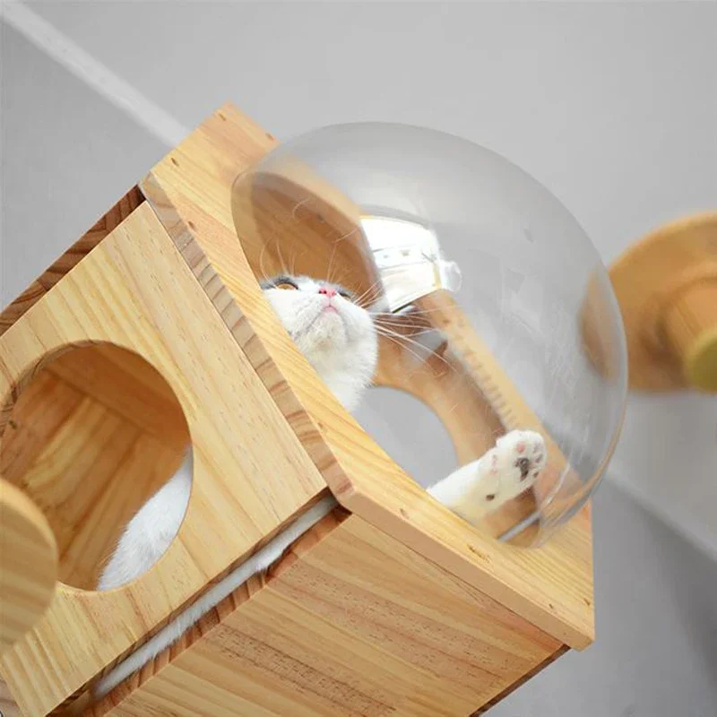 벽걸이 나무 고양이 집 침대, 고양이 나무 타워 스페이스 캡슐, 고양이 등반 프레임, 새끼 고양이 장난감, 등반 사다리, 애완 동물 스크래치 가구