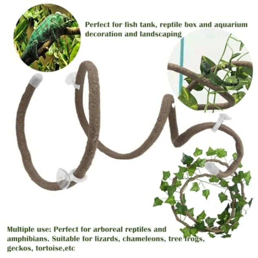 Crested Gecko Tank Set 5