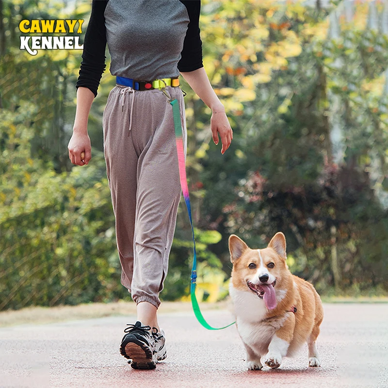 CAWAYI KENNEL Nylon Leashes Pet Dogs Chain Traction Rope Leads with Waist Free Hands Rope Explosion-proof Chain for Large Dogs