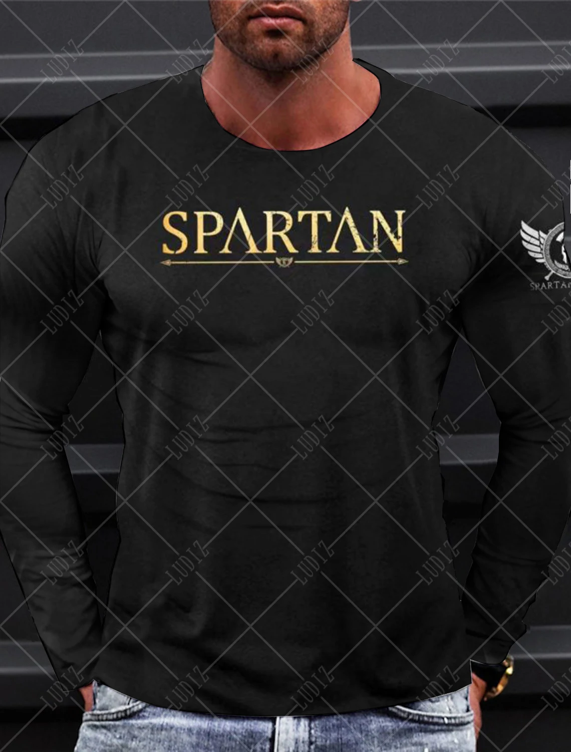 

Men's Long sleeve T shirt for men Fashion 3D Print Spartan pattern T Shirt 2024 Autumn Casual Sportswear Men Clothing Top Tees