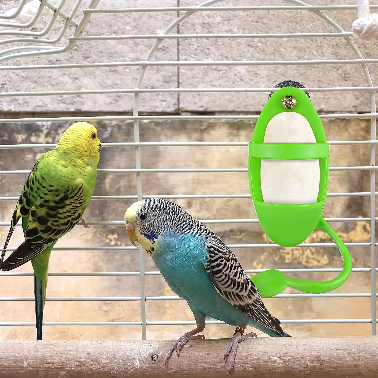 Pet Parrot Feeder Hanging Cage Fruit Vegetable Container Feeding Cup Cuttlebone Stand Holder Pet Cage Accessories Supplies