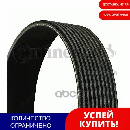Ремень Поликлиновой 9pk2260 ContiTech арт. 9PK2260 | Автомобили и мотоциклы