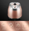 vertical steam iron fabric care cloth appliances Electric Irons Professional Fabric Care Garment Home Appliances무선미니다리미 무선다리 2