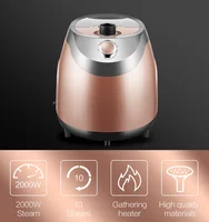 vertical steam iron fabric care cloth appliances Electric Irons Professional Fabric Care Garment Home Appliances무선미니다리미 무선다리 2
